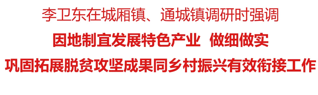 e86de356-9ec0-4fee-ae87-cc4e54934c59.png